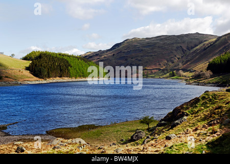 Haweswater et le Rigg de près de la tête dans le Mardale Parc National de Lake District, Cumbria. Banque D'Images