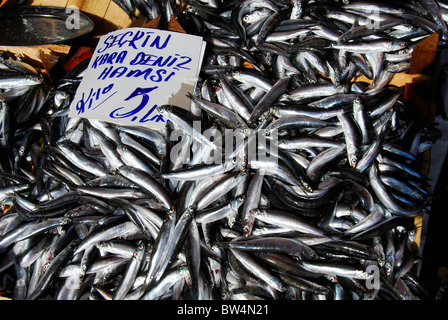 ISTANBUL, TURQUIE. Anchois fraîchement pêché à la vente à la criée (balikcisi) par la Corne d'or dans la région de Karakoy. Banque D'Images