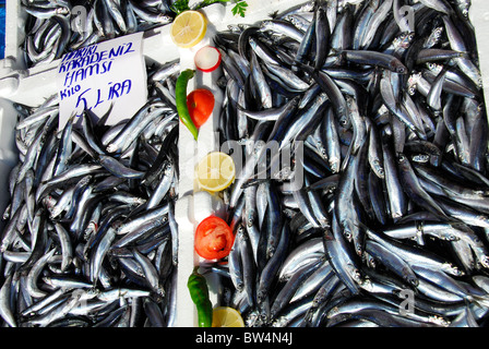 ISTANBUL, TURQUIE. Anchois fraîchement pêché à la vente à la criée (balikcisi) par la Corne d'or dans la région de Karakoy. Banque D'Images