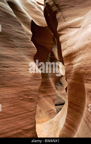 Lower Antelope Canyon Arizona slot page détail de la façon dont il peut obtenir étroite Banque D'Images