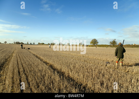 Un shooter en attente de gibier d'apparaître dans un champ de chaume à l'automne, España Banque D'Images