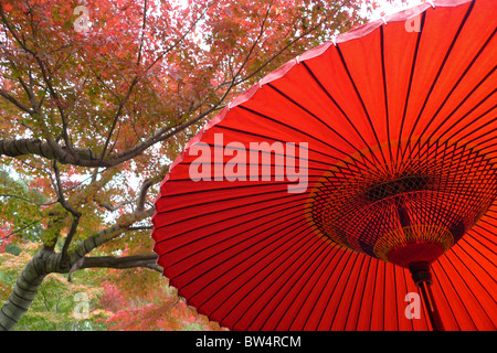 Parasol rouge japonais et en feuilles d'automne Parc Showa Kinen, Tokyo, Japon, 13 Novembre 2010 Banque D'Images