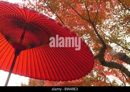 Parasol rouge japonais et en feuilles d'automne Parc Showa Kinen, Tokyo, Japon, 13 Novembre 2010 Banque D'Images