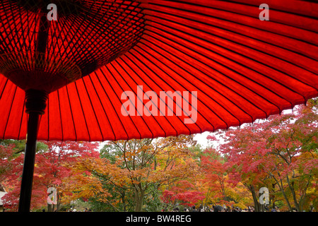 Parasol rouge japonais et en feuilles d'automne Parc Showa Kinen, Tokyo, Japon, 13 Novembre 2010 Banque D'Images