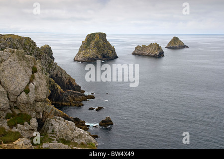 Dans les falaises de la Pointe du Penhir, Bretagne, France Banque D'Images