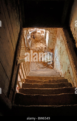 Vue vers le bas l'escalier branlant et usés dans une ancienne grange en pierre et en bois. Banque D'Images