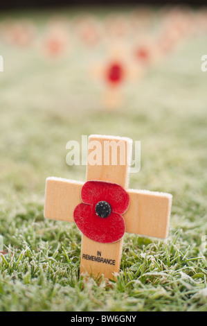 Gros plans de la croix de bois se souvenir du héros de la démocratie commémorant la fin de la Première Guerre mondiale, le Jour du Souvenir en Angleterre Banque D'Images