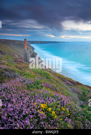 Papule Coates tin mine près de St Agnes sur la côte de Cornouailles, North Cornwall, UK Banque D'Images