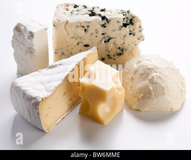 Divers types de fromages sur un fond blanc. Banque D'Images