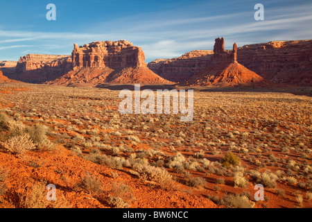 Des formations de grès, la Vallée des Dieux, Bureau de la gestion des terres, de l'Utah Banque D'Images