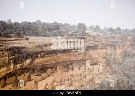 Avis de Cliff Palace Cliff dwellings dans une tempête de neige dans le Parc National de Mesa Verde, Colorado, USA. Banque D'Images