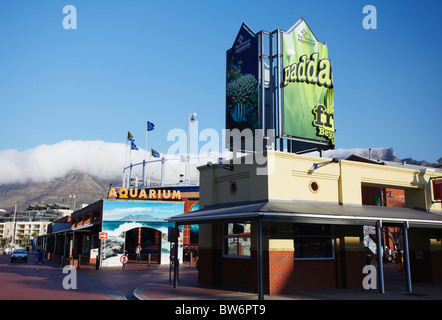 Two Oceans Aquarium, Victoria and Alfred Waterfront, Cape Town, Western Cape, Afrique du Sud Banque D'Images