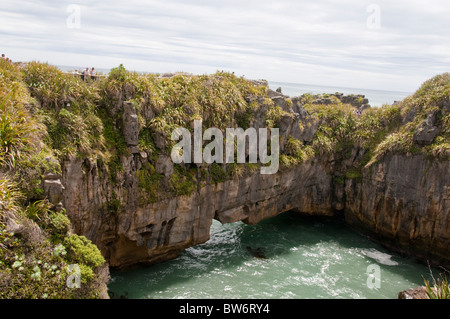 Punakaiki Rocks Punakaiki,National Park, côte ouest, la forêt de palmiers Nikau Accueil autochtones,Fougères, île du Sud, Nouvelle-Zélande Banque D'Images