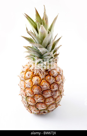 Image de l'ananas mûr isolé sur fond blanc Banque D'Images