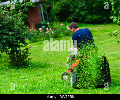 Tondeuse à couper l'herbe. Se concentrer sur les graminées dans l'air. Banque D'Images