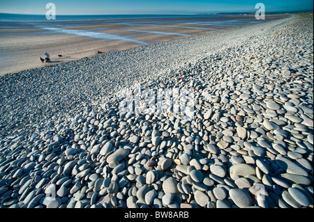 La crête de galets sur le littoral à Westward Ho ! Devon UK Banque D'Images