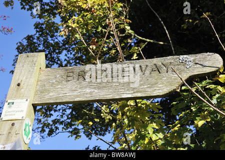 Panneau en bois Bridleway doigt (post) montrant sentier public avec le fond d'arbres et ciel bleu près de Newton Valence, Hampshire, England, UK Banque D'Images