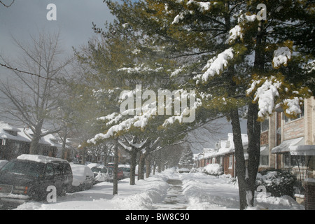 Les arbres couverts de neige à pied côté rue de la cour avant et les voitures en hiver dans le quartier de Chicago avec appartements Banque D'Images