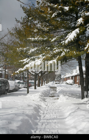 Les arbres couverts de neige à pied côté rue cour avant et arbre en hiver à Chicago avec des maisons de quartier Banque D'Images