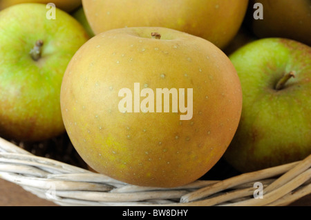 Close up d'Egremont Russet pomme sur bord du panier Banque D'Images