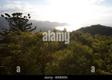 Lever de soleil sur l'océan pacifique derrière forêt d'eucalyptus. Le Queensland, Australie. Banque D'Images