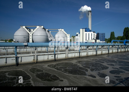 Usine de traitement des eaux usées de Ruhleben, Berlin, Allemagne Banque D'Images