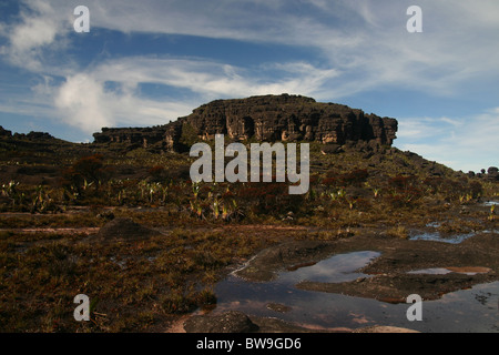 Le sommet (El Carro) du mont Roraima (Tepui) au Venezuela Banque D'Images