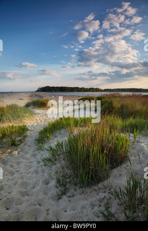 Benacre Beach dans le Suffolk, Angleterre, RU Banque D'Images