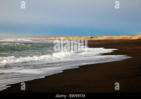 Vagues se brisant sur une plage volcanique noire, côte sud-ouest de l'Islande. Banque D'Images