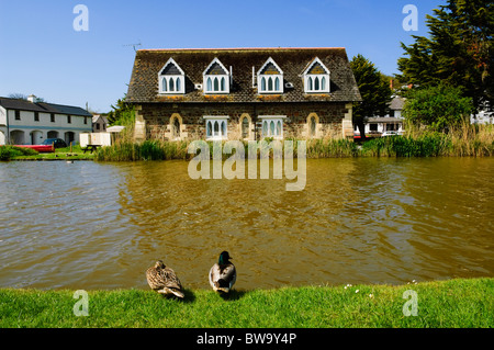 Une paire de canards colverts au bord de canal de Bude à Bude en Cornouailles du Nord, en Angleterre. Banque D'Images