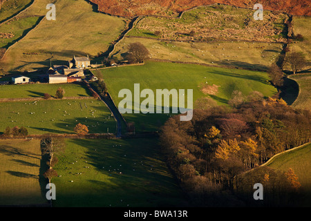 Ferme à distance, Dale Danby, North York Moors National Park, Yorkshire Banque D'Images