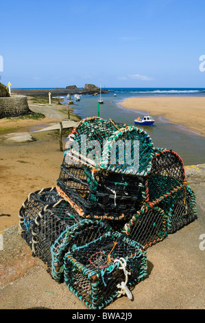 Des casiers à homard au port de Bude, Cornwall, Angleterre. Banque D'Images