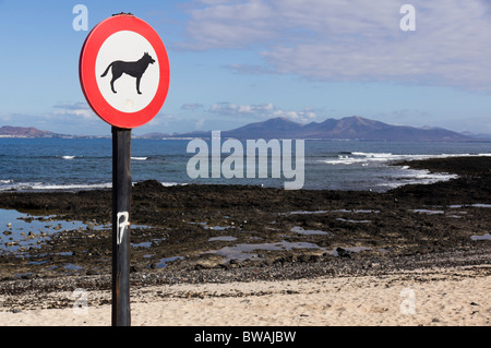 Fuerteventura, Îles Canaries - Corralejo, panneau disant pas de chiens sur la plage. Banque D'Images