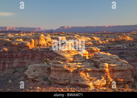 Le printemps de Slick Rock Canyon Trail, les aiguilles, l'unité de Canyonlands National Park, Utah Banque D'Images