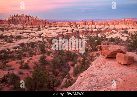 Les aiguilles, Elephant Canyon, les aiguilles, l'unité de Canyonlands National Park, Utah Banque D'Images