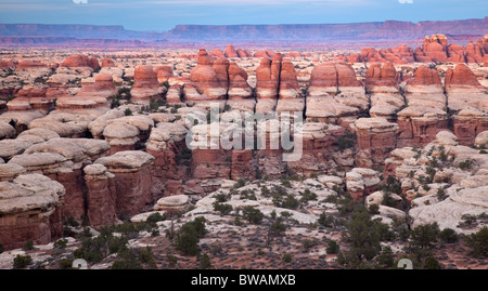 Les aiguilles, Elephant Canyon, les aiguilles, l'unité de Canyonlands National Park, Utah Banque D'Images