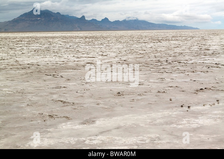 Bonneville Salt Flats Proche-orient Wendover, Utah, USA Banque D'Images