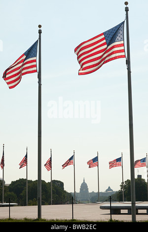 Des drapeaux américains et Capitol Building, Washington DC, USA Banque D'Images