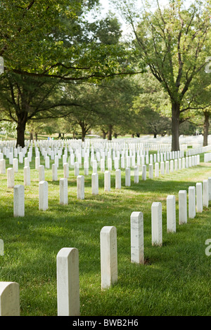 Le Cimetière National d'Arlington, Virginie, États-Unis Banque D'Images