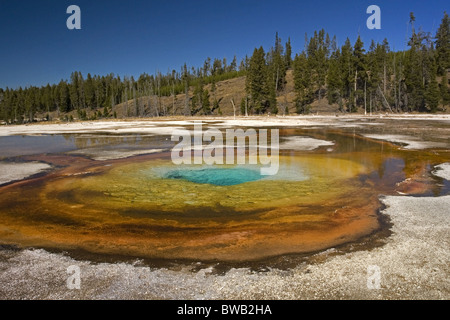 Printemps chromatique, Upper Geyser Basin, Yellowstone Banque D'Images