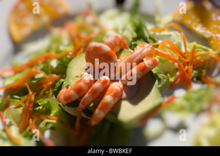 Fuerteventura, Îles Canaries - midi café ou au restaurant en plein air de l'alimentation saine. Et crevettes salade d'avocat. Banque D'Images