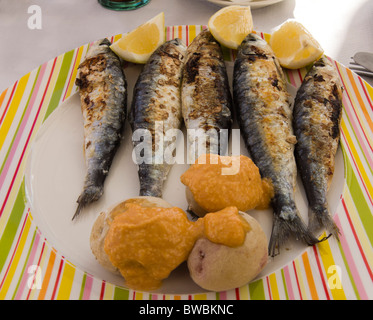 Fuerteventura, Îles Canaries - midi café ou au restaurant en plein air de l'alimentation saine. Sardines grillées Banque D'Images