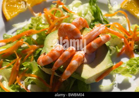 Fuerteventura, Îles Canaries - midi café ou au restaurant en plein air de l'alimentation saine. Et crevettes salade d'avocat. Banque D'Images