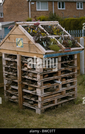 Hôtel insectes créés à l'aide de vieux bois qui offrent un accueil pour les bugs, insectes et autres invertébrés, Yorkshire, UK Banque D'Images