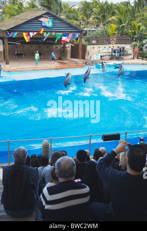 Spectacle de Dauphins à uShaka Marine World, Durban, KwaZulu-Natal, Afrique du Sud Banque D'Images