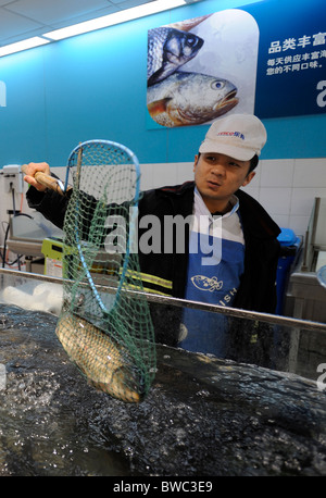 Tesco montre un vendeur de carpes à shopper à Qingdao, province de Shandong, Chine. 11-Nov-2010 Banque D'Images