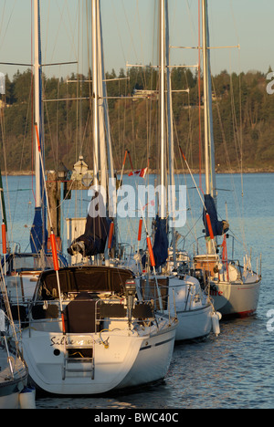 Au début de l'automne matin salue des voiliers amarrés au quai à la fin de la jetée historique de White Rock (Colombie-Britannique). Banque D'Images