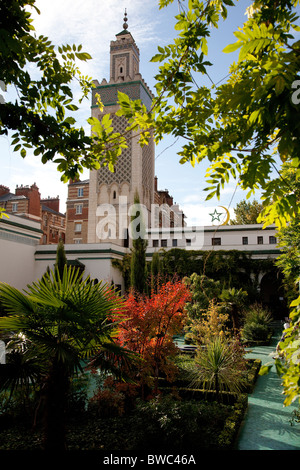 Grande Mosquée de Paris "Grande Mosquée de Paris, dans le 5ème arrondissement de Paris, Ille de France, image prise à l'automne 2010 Banque D'Images