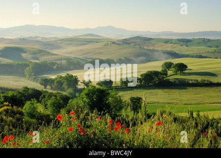 Huegel Toskana - Tuscany hills 19 Banque D'Images