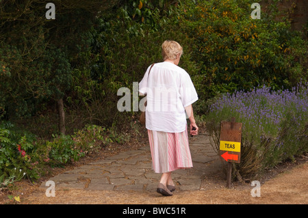 Les chefs d'une femme pour des rafraîchissements à Redisham ouvert Hall gardens de Redisham , Suffolk , Bretagne , France Banque D'Images